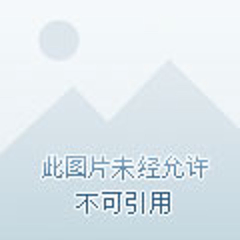 智慧城市的动脉：交通管理平台的优化与发展